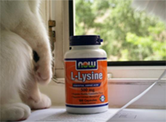 L-лизин: свойства